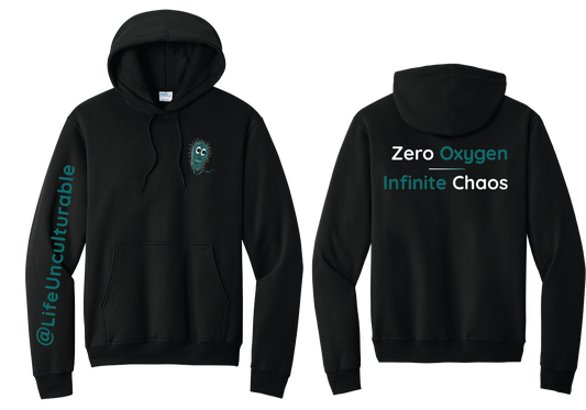 LU Black Hoodie